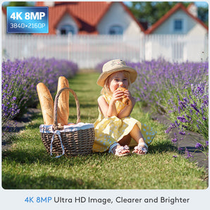 4K 8MP Telecamera Wi-Fi Esterno Videocamera Sorveglianza 2,4/5GHz con Rilevamento Umano/Veicoli